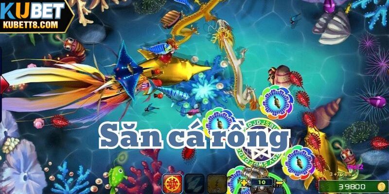 Bắn Cá Rồng - Game Săn Cá Đổi Thưởng Hấp Dẫn Và Dễ Chơi Trò chơi phù hợp với nhiều đối tượng người tham gia khác nhau
